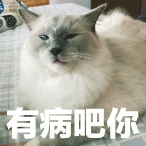 开始紧张微信恶搞群聊杂图表情包