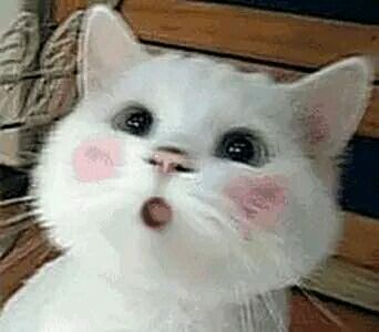 你在干嘛微信恶搞群聊杂图表情包