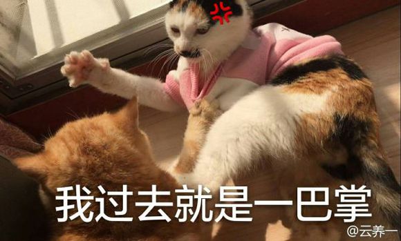 难受微信恶搞群聊杂图表情包