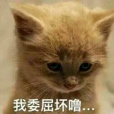 开始紧张微信恶搞群聊杂图表情包