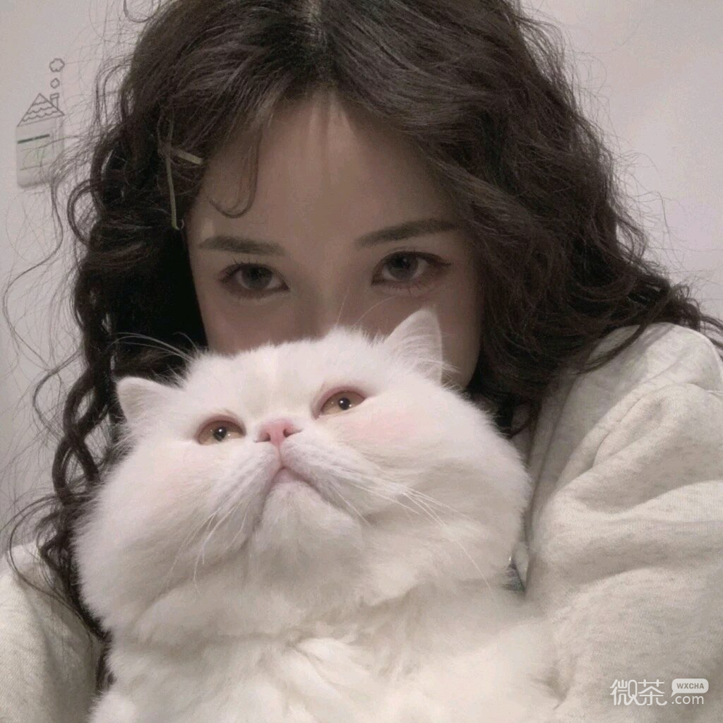 清新文艺性感微信女头