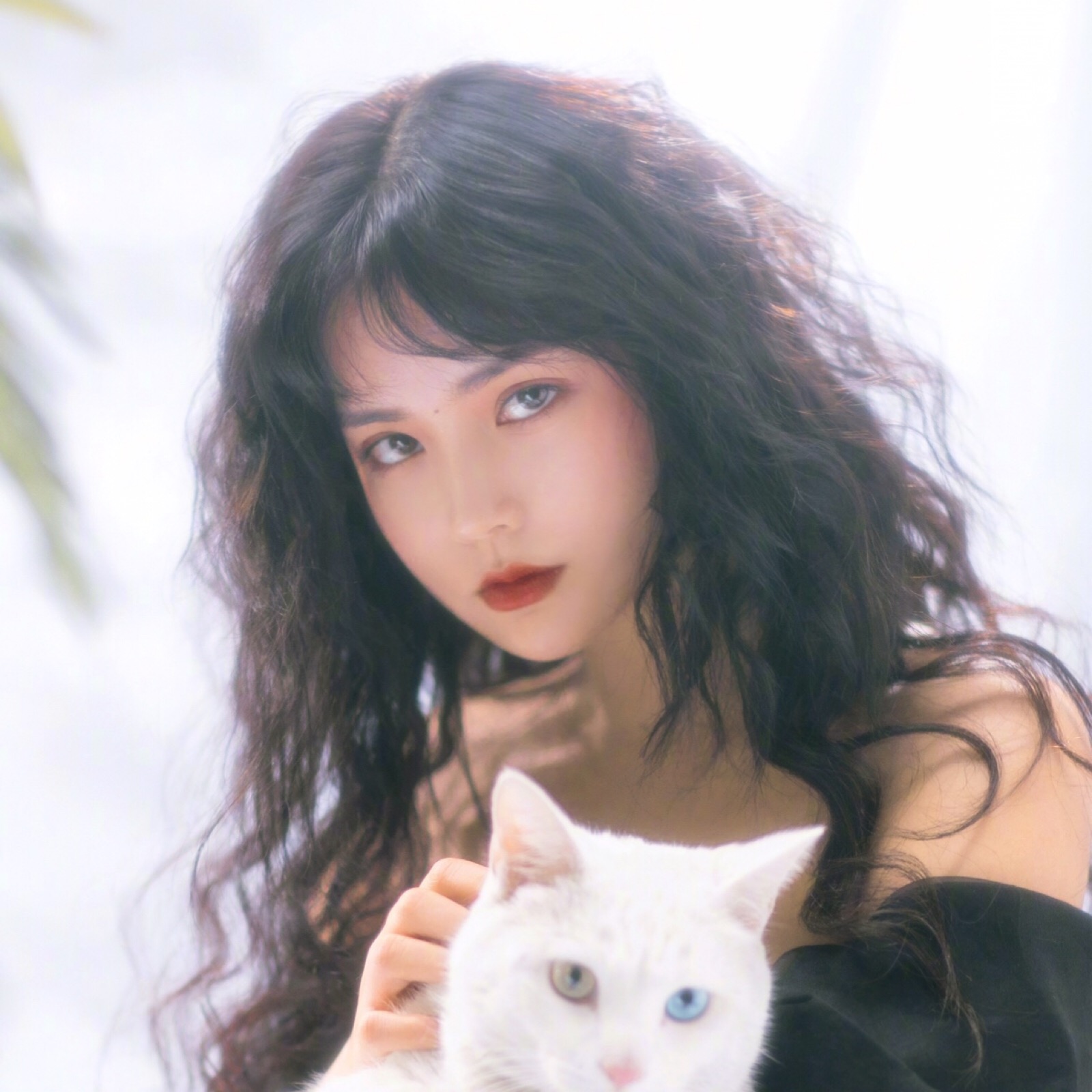 微信清新简洁可爱女头