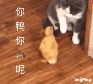 鼓掌微信恶搞群聊杂图表情包