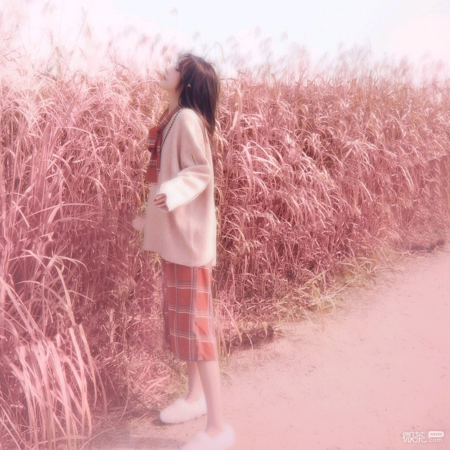 微信粉嫩简洁时尚女头