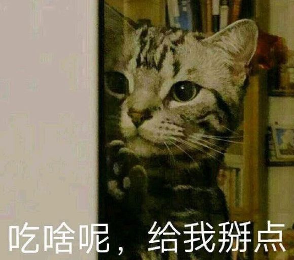 鼓掌微信恶搞群聊杂图表情包