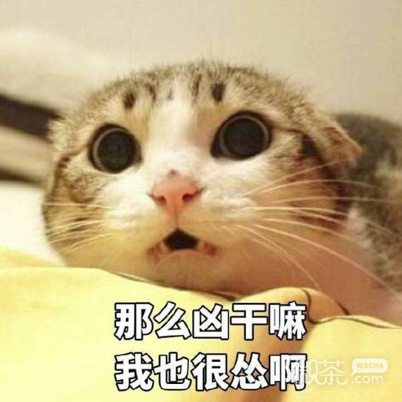 委屈巴微信恶搞群聊杂图表情包