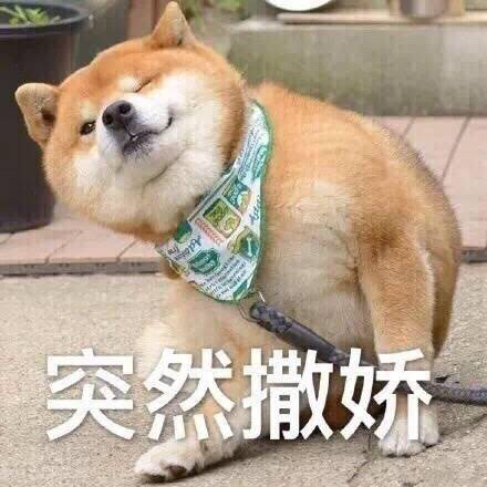 突然撒娇微信恶搞群聊杂图表情包