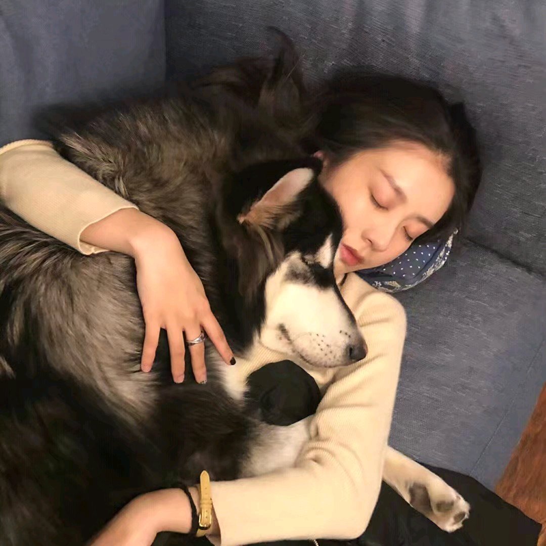 微信文艺森系好看气质女头