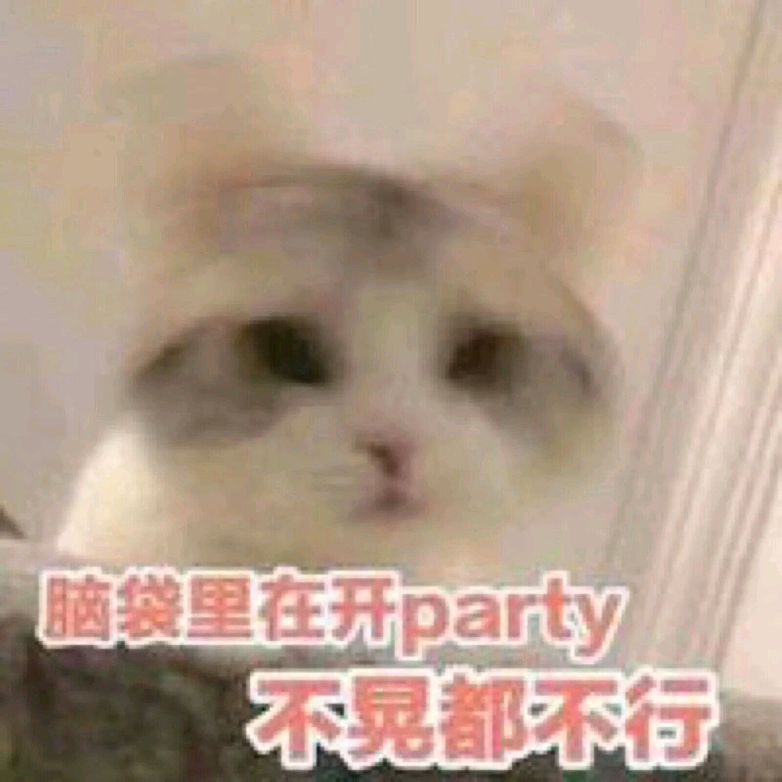 微信近期斗图恶搞表情包2019/6/11