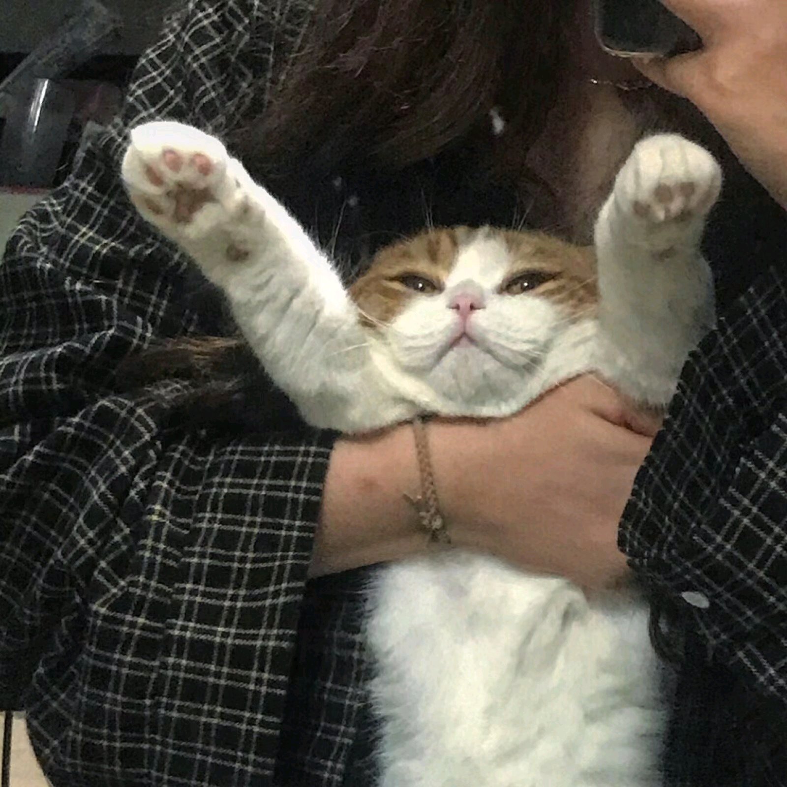 微信文艺森系好看气质女头