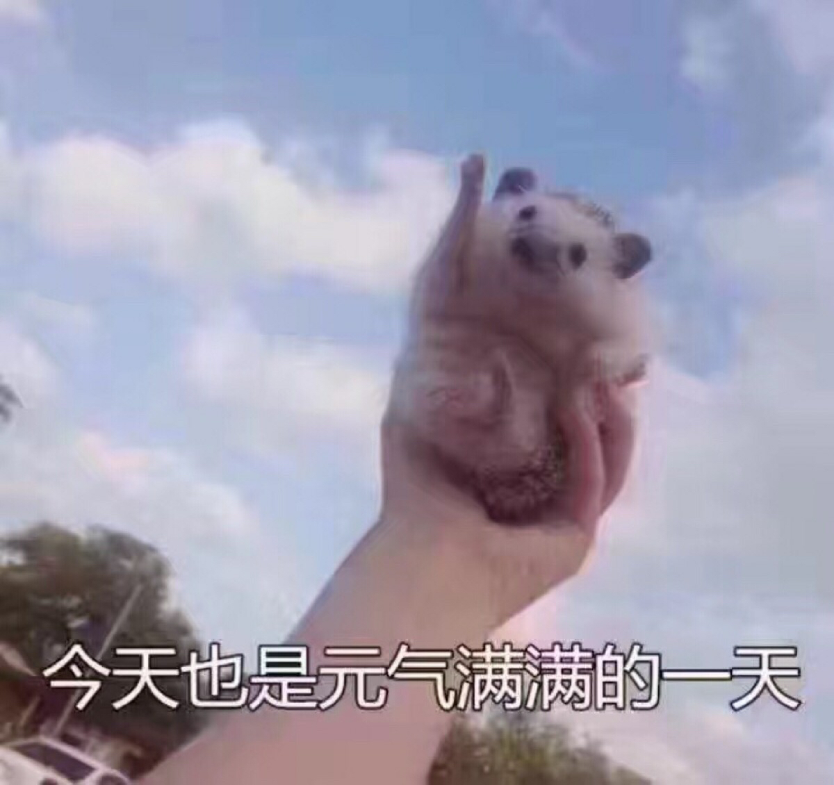 突然撒娇微信恶搞群聊杂图表情包