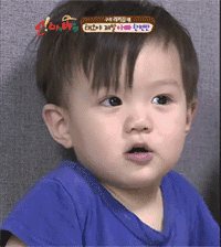 微信近期斗图恶搞表情包2019/6/11