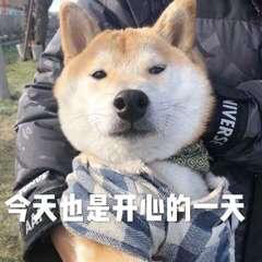 突然撒娇微信恶搞群聊杂图表情包