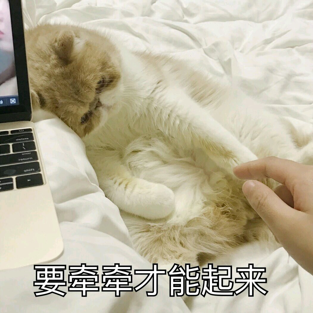 微信近期斗图恶搞表情包2019/6/11