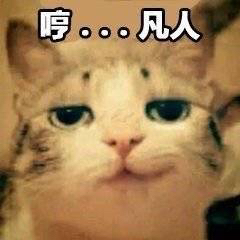 突然撒娇微信恶搞群聊杂图表情包