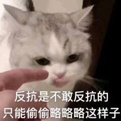 突然撒娇微信恶搞群聊杂图表情包