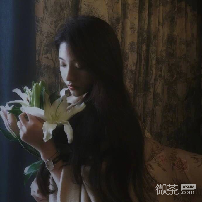 微信佛系简洁气质女头