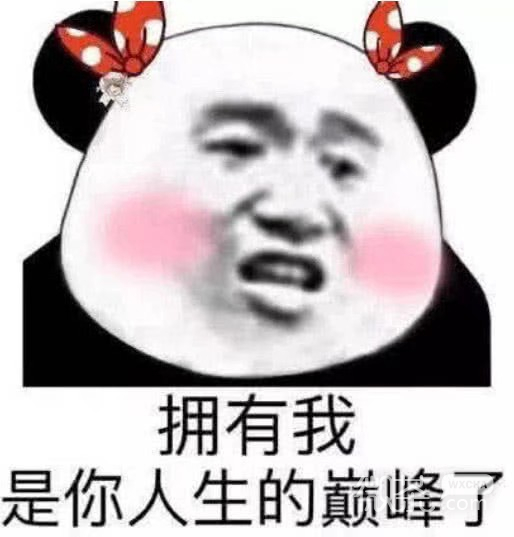 微信近期斗图恶搞表情包2019/6/11（二）