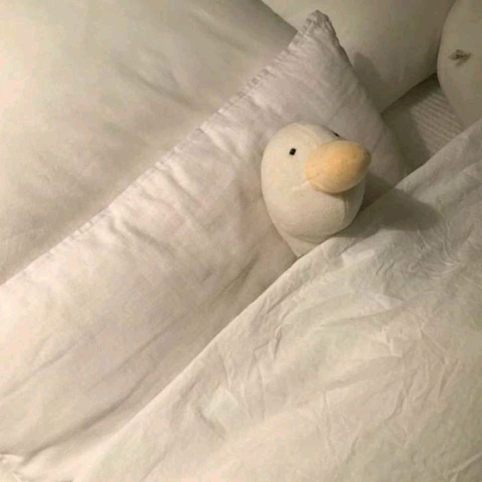 微信文艺森系好看气质女头