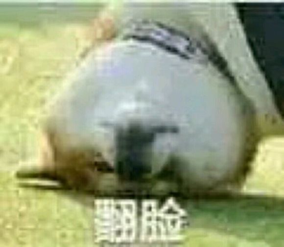 微信近期斗图恶搞表情包2019/6/11