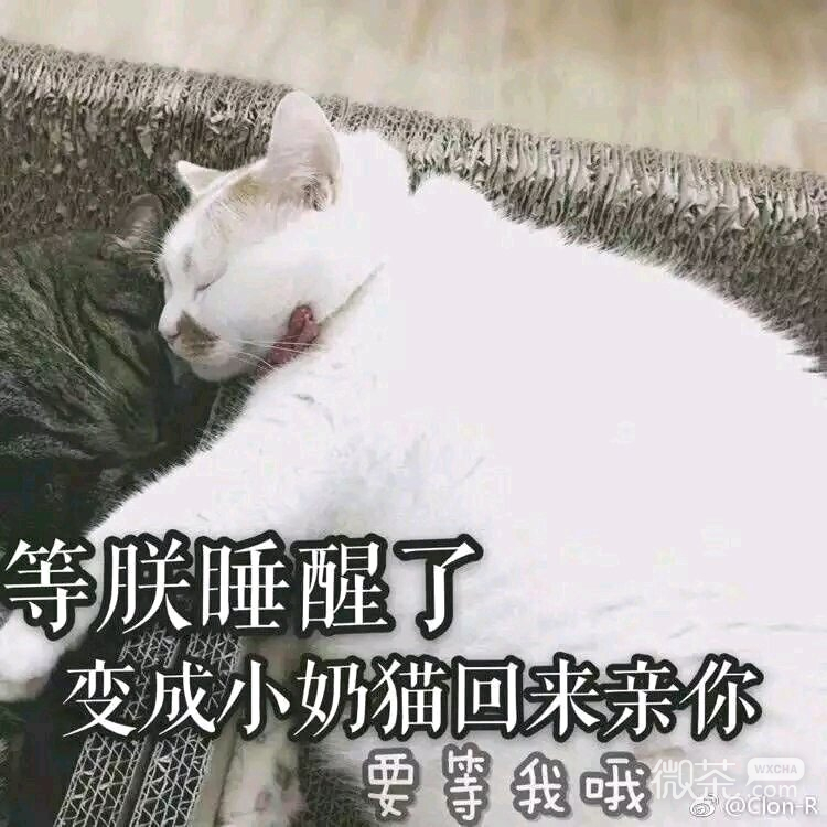 微信近期斗图恶搞表情包2019/6/12