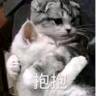 巨怂微信恶搞群聊杂图表情包