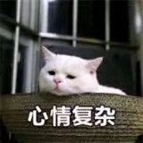 巨怂微信恶搞群聊杂图表情包