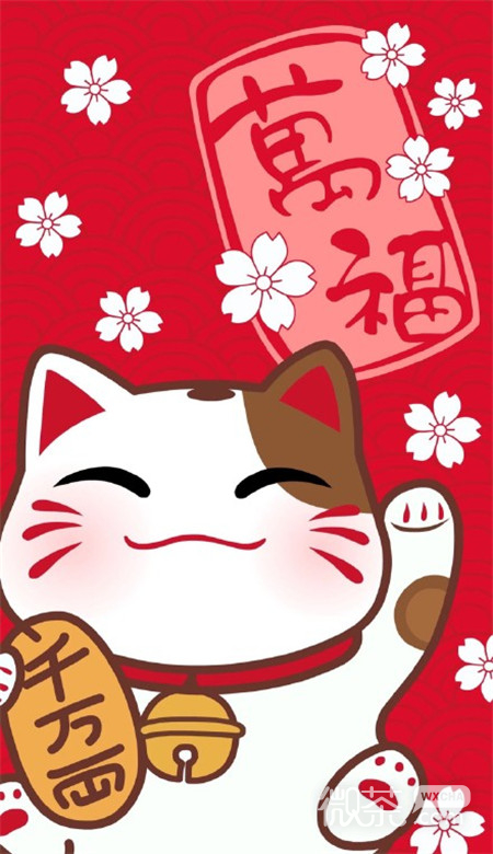 2019微信最新最潮的的招财喵聊天壁纸图片合集下载