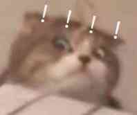 微信近期斗图恶搞表情包2019/6/13