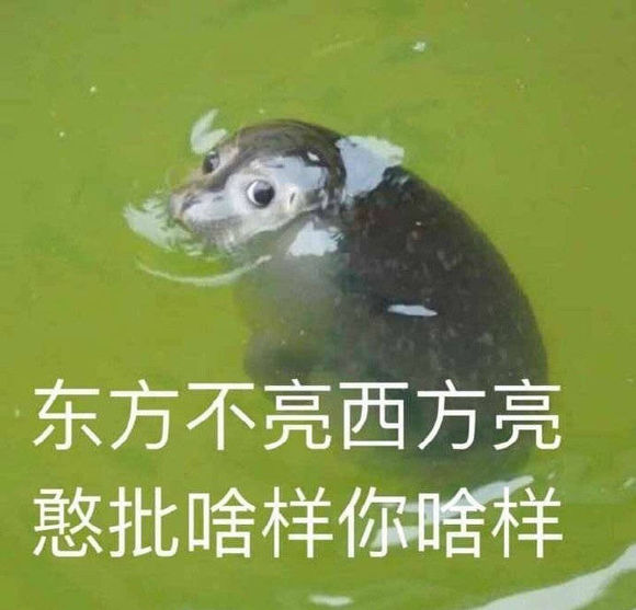 极力否认微信恶搞群聊杂图表情包