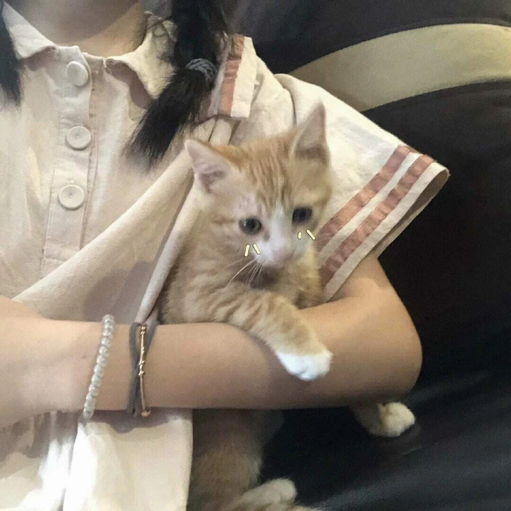 微信青春性感女头