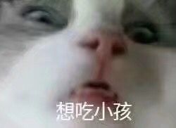 贫穷微信恶搞群聊杂图表情包