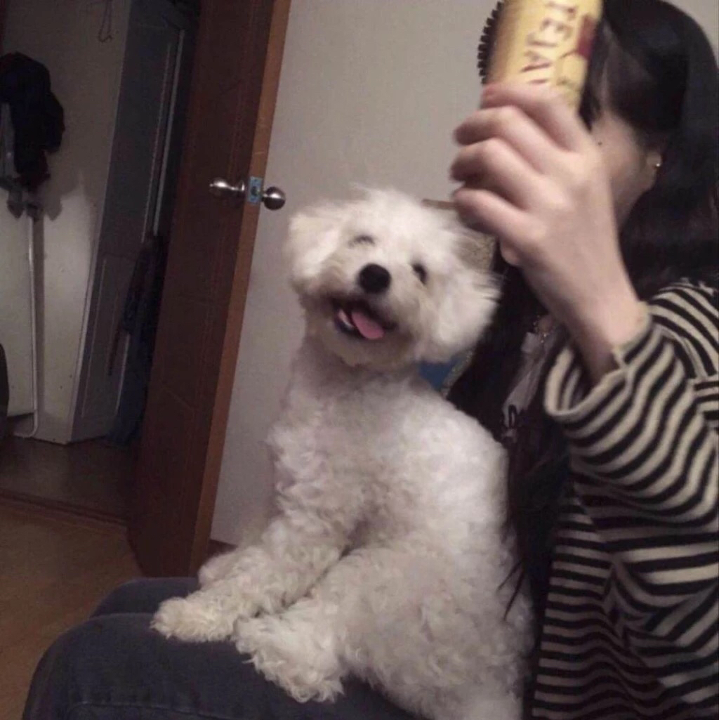 微信青春性感女头