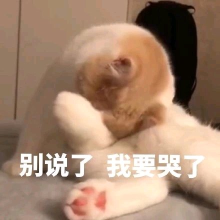 极力否认微信恶搞群聊杂图表情包