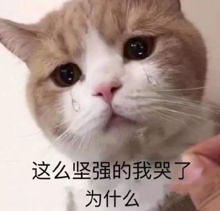 再见微信恶搞群聊杂图表情包