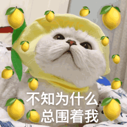 极力否认微信恶搞群聊杂图表情包