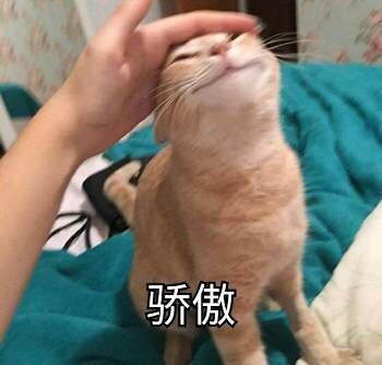 极力否认微信恶搞群聊杂图表情包