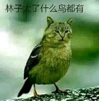 贫穷微信恶搞群聊杂图表情包