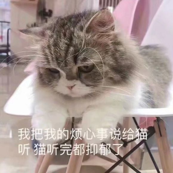 极力否认微信恶搞群聊杂图表情包