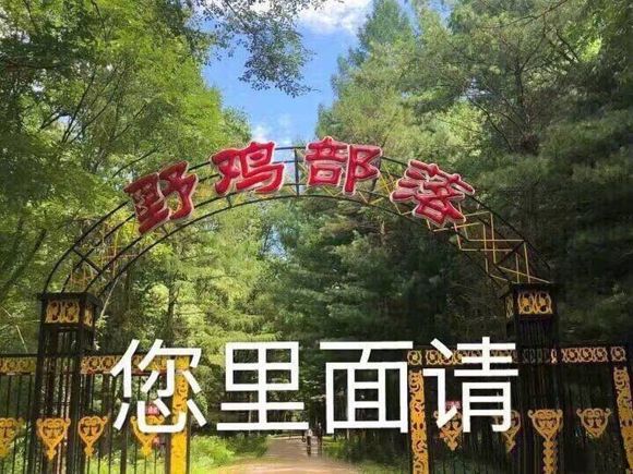 极力否认微信恶搞群聊杂图表情包