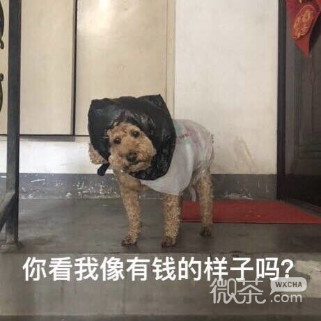 我来啦微信恶搞群聊杂图表情包