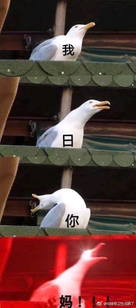 微信近期斗图恶搞表情包2019/6/16