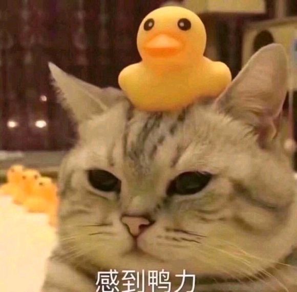 微信近期斗图恶搞表情包2019/6/16