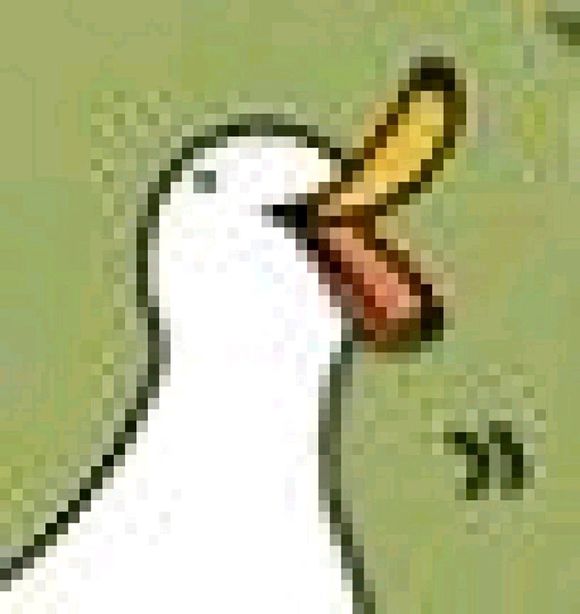 微信近期斗图恶搞表情包2019/6/16