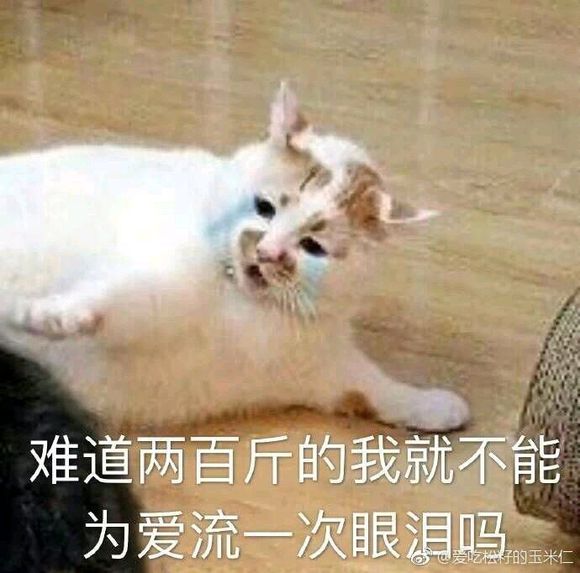 微信近期斗图恶搞表情包2019/6/16