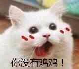 微信近期斗图恶搞表情包2019/6/16