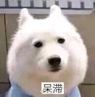 给力微信恶搞群聊杂图斗图表情包