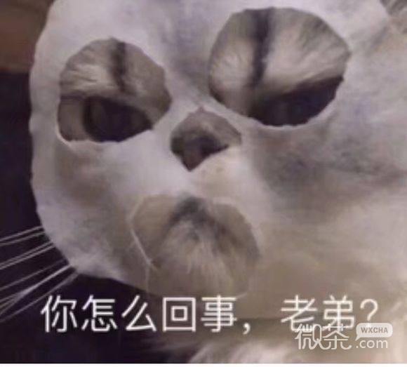 妈的智障微信恶搞群聊杂图表情包