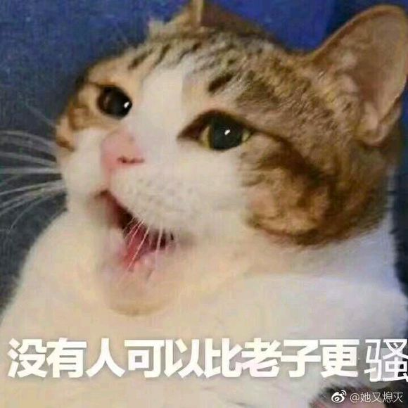 微信近期斗图恶搞表情包2019/6/16