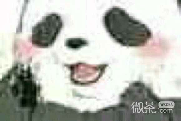 给力微信恶搞群聊杂图斗图表情包